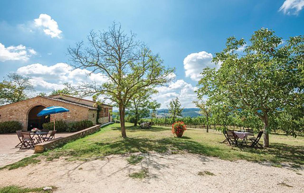 Agriturismo Fattoria Il Piano - Appartamento Focolare - San Gimignano Exteriér fotografie